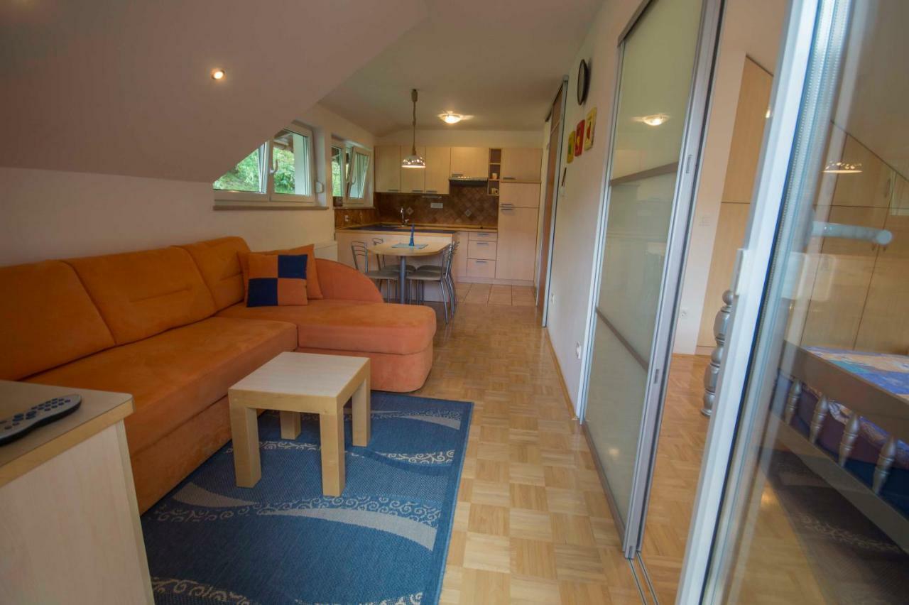 Apartma Mojca 보히니 외부 사진